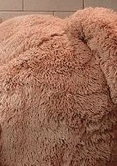 とりくん と らいおんくんの 影のおたく 。