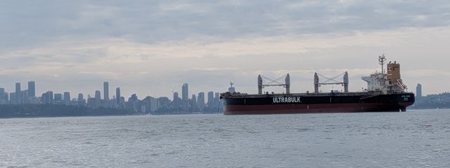 Crocodile さんの壁紙画像