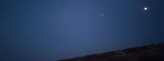 お月　🦕💨さんの壁紙画像