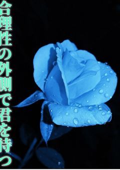 合理性の外側で君を待つ