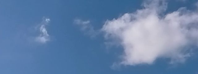 ゆきさんの壁紙画像
