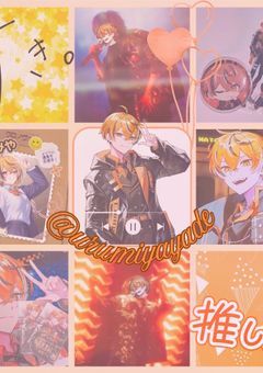 🐈 Tag 💓
