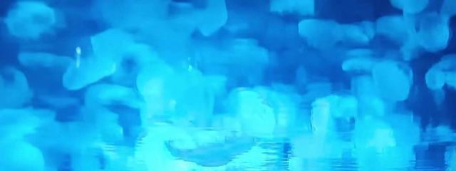 🌕雷陰🧭さんの壁紙画像