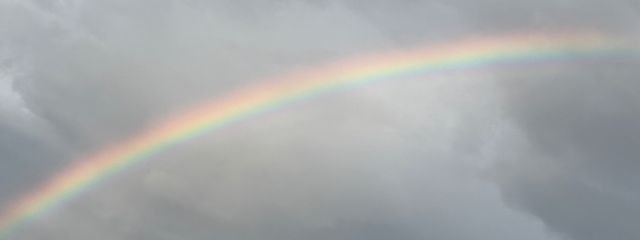 ゆりさんの壁紙画像