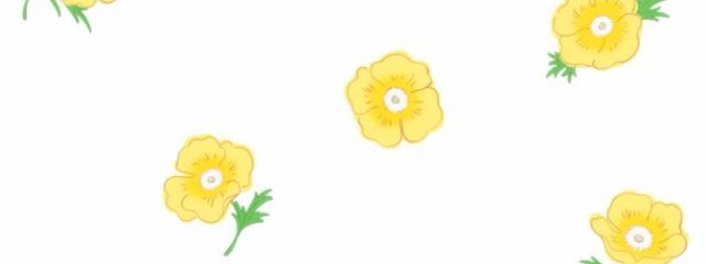 みかん@いれりすさんの壁紙画像
