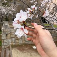 さばの缶詰めさんのアイコン画像