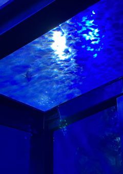 葵ちゃんーー専用ーーーいぇーい