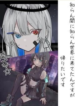 知らん間に知らん世界に来てたんですが帰りたいです