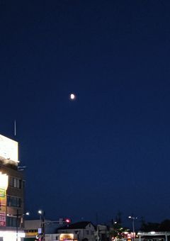 か ら み ぼ  ！