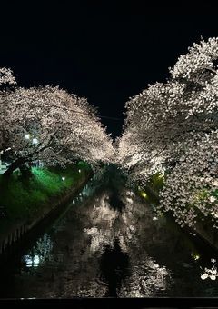   13月1日 《 参加型 》