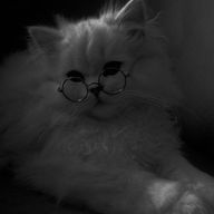 𝑨𝑲𝑰𝑹𝑨 ✌🏻😎✌🏻さんのアイコン画像