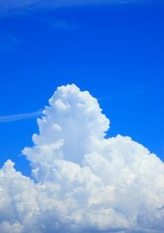 短編小説 (連載休止中)