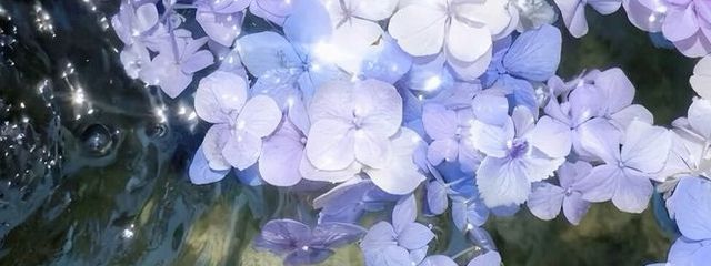 紫陽花@スランプ中さんの壁紙画像