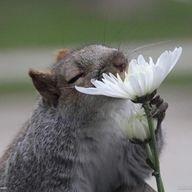 stmさんのアイコン画像