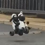 ぴょんすさんのアイコン画像
