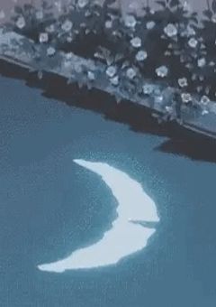 魔法少女は救われない