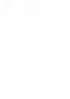 【虹明日】 語り部屋