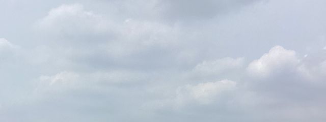 　ひなさんの壁紙画像