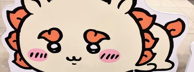 おかちゃんサブさんの壁紙画像