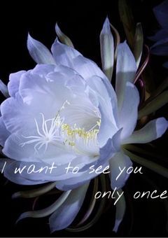I want to see you only once