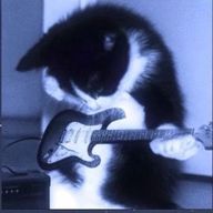 # 浮気性 .💭*゜@夢を見ようよ .さんのアイコン画像