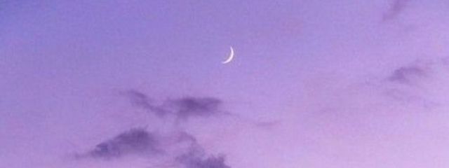 おいなりさんの壁紙画像