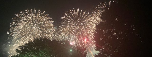 わーわりさんの壁紙画像