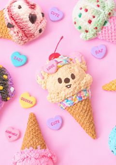 skz🐿️妄想アイスケース🍨