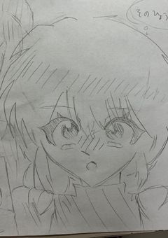 1年間イラストを描き続けたら神絵師になる説！（らんま多めかな？）