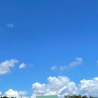 ねこさんのアイコン画像