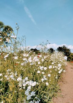 何も知らないメイクさん