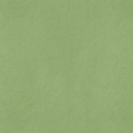 🌵さんのアイコン画像