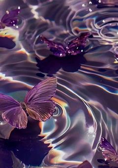 STAY学園のお姫様