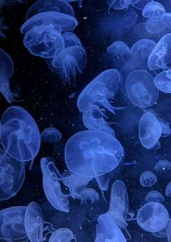 腐男子なのバレました………？！