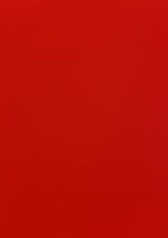 個性だらけの世界