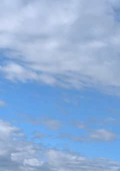 うちの子やから
