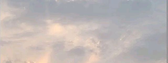 MSさんの壁紙画像