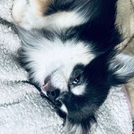 アカさんのアイコン画像