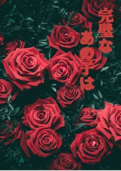 完璧なあの子は