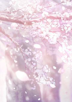 貴方の花が散れるまで傍に居ます。