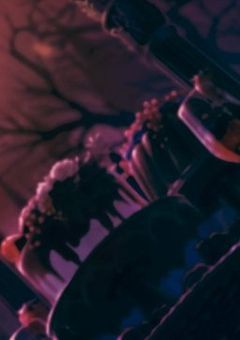 ✧参加型✧魔法学校はすごい人ばっか!?