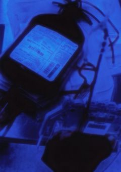 　　吸血鬼に狙われた件 。