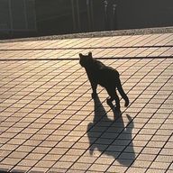 ななしさんさんのアイコン画像