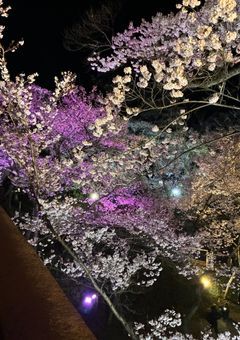 取り憑いたヒーローさん、住み心地良すぎた件