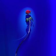 xingxingさんのアイコン画像