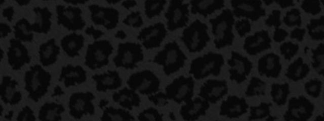 🖤 う ぉ ん 🎀さんの壁紙画像