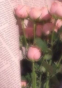 友だちぼしゅー