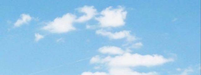 ななみんほ🐳🫧さんの壁紙画像