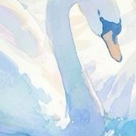 ミニミニさんのアイコン画像