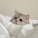 (なまえ)